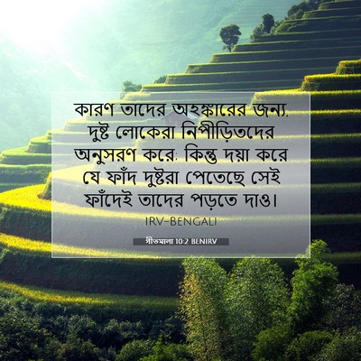 Picture 07 - গীতমালা 10:2 BENIRV - কারণ তাদের - Bible Verse Picture