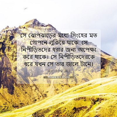 Picture 07 - গীতমালা 10:9 BENIRV - সে ঝোপঝাড়ের - Bible Verse Picture