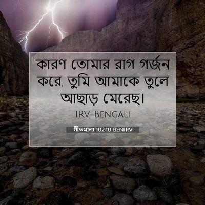 Picture 07 - গীতমালা 102:10 BENIRV - কারণ তোমার রাগ - Bible Verse Picture