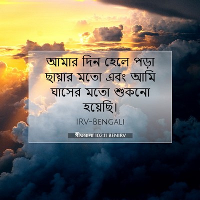 Picture 07 - গীতমালা 102:11 BENIRV - আমার দিন হেলে পড়া - Bible Verse Picture