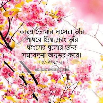 Picture 07 - গীতমালা 102:14 BENIRV - কারণ তোমার দাসেরা - Bible Verse Picture