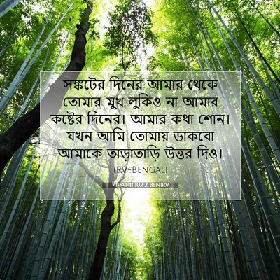 Picture 07 - গীতমালা 102:2 BENIRV - সঙ্কটের দিনের - Bible Verse Picture