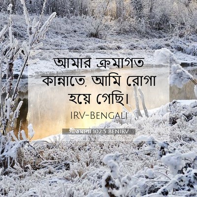 Picture 07 - গীতমালা 102:5 BENIRV - আমার ক্রমাগত - Bible Verse Picture