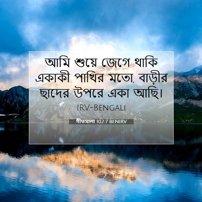 Picture 07 - গীতমালা 102:7 BENIRV - আমি শুয়ে জেগে - Bible Verse Picture