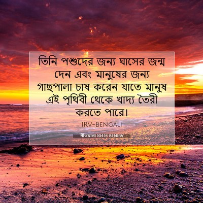 Picture 07 - গীতমালা 104:14 BENIRV - তিনি পশুদের জন্য - Bible Verse Picture