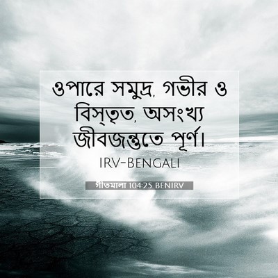 Picture 07 - গীতমালা 104:25 BENIRV - ওপারে সমুদ্র, গভীর - Bible Verse Picture