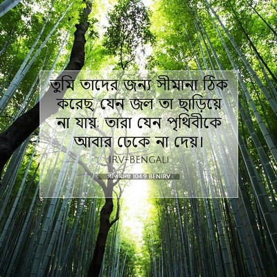 Picture 07 - গীতমালা 104:9 BENIRV - তুমি তাদের জন্য - Bible Verse Picture