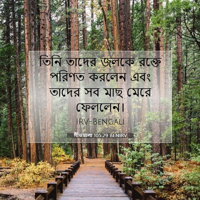 Picture 07 - গীতমালা 105:29 BENIRV - তিনি তাদের জলকে - Bible Verse Picture