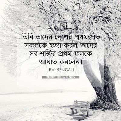 Picture 07 - গীতমালা 105:36 BENIRV - তিনি তাদের দেশের - Bible Verse Picture