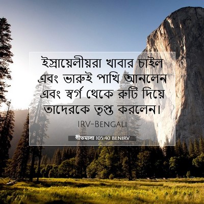 Picture 07 - গীতমালা 105:40 BENIRV - ইস্রায়েলীয়রা - Bible Verse Picture