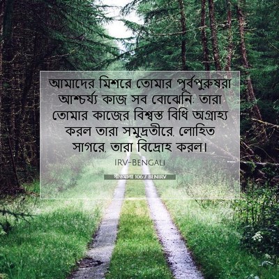Picture 07 - গীতমালা 106:7 BENIRV - আমাদের মিশরে - Bible Verse Picture