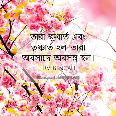 Picture 07 - গীতমালা 107:5 BENIRV - তারা ক্ষুধার্ত - Bible Verse Picture