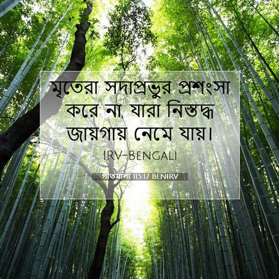 Picture 07 - গীতমালা 115:17 BENIRV - মৃতেরা সদাপ্রভুুর - Bible Verse Picture