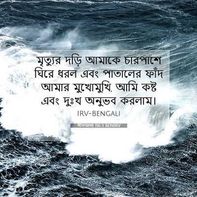 Picture 07 - গীতমালা 116:3 BENIRV - মৃত্যুর দড়ি - Bible Verse Picture