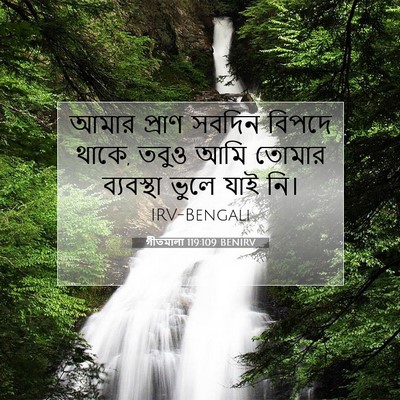 Picture 07 - গীতমালা 119:109 BENIRV - আমার প্রাণ সবদিন - Bible Verse Picture