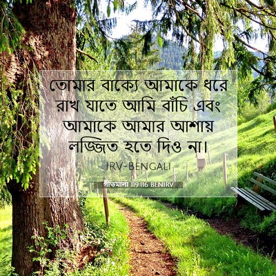 Picture 07 - গীতমালা 119:116 BENIRV - তোমার বাক্যে - Bible Verse Picture
