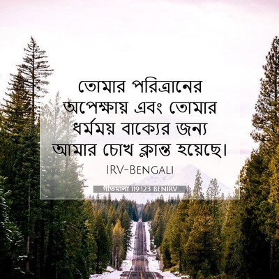 Picture 07 - গীতমালা 119:123 BENIRV - তোমার পরিত্রানের - Bible Verse Picture