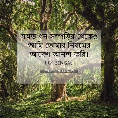 Picture 07 - গীতমালা 119:14 BENIRV - সমস্ত ধন - Bible Verse Picture
