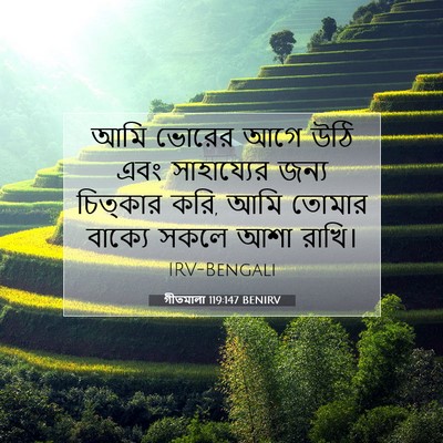 Picture 07 - গীতমালা 119:147 BENIRV - আমি ভোরের আগে উঠি - Bible Verse Picture