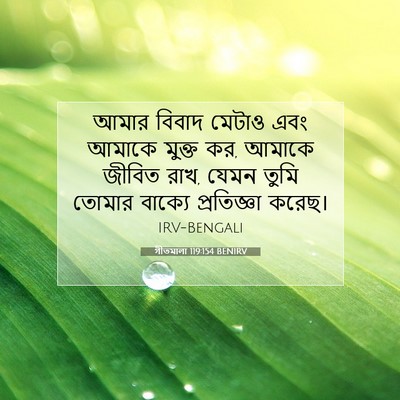 Picture 07 - গীতমালা 119:154 BENIRV - আমার বিবাদ মেটাও - Bible Verse Picture