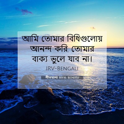 Picture 07 - গীতমালা 119:16 BENIRV - আমি তোমার - Bible Verse Picture