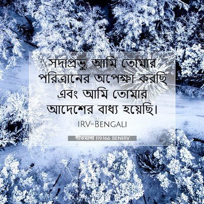 Picture 07 - গীতমালা 119:166 BENIRV - সদাপ্রভুু, আমি - Bible Verse Picture