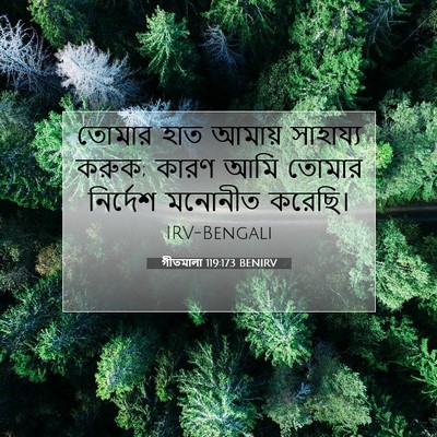 Picture 07 - গীতমালা 119:173 BENIRV - তোমার হাত আমায় - Bible Verse Picture