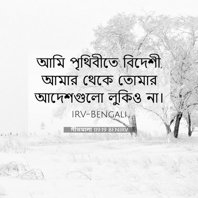 Picture 07 - গীতমালা 119:19 BENIRV - আমি পৃথিবীতে - Bible Verse Picture