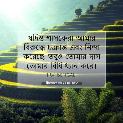 Picture 07 - গীতমালা 119:23 BENIRV - যদিও শাসকেরা আমার - Bible Verse Picture