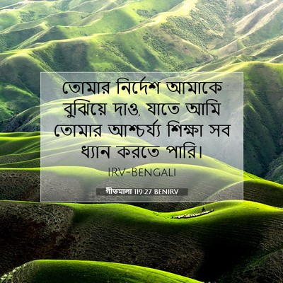 Picture 07 - গীতমালা 119:27 BENIRV - তোমার নির্দেশ - Bible Verse Picture