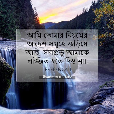 Picture 07 - গীতমালা 119:31 BENIRV - আমি তোমার নিয়মের - Bible Verse Picture