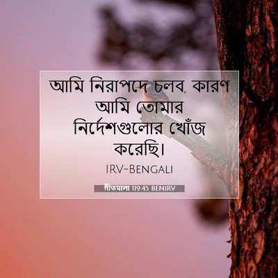 Picture 07 - গীতমালা 119:45 BENIRV - আমি নিরাপদে চলব, - Bible Verse Picture