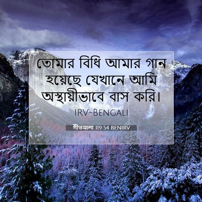 Picture 07 - গীতমালা 119:54 BENIRV - তোমার বিধি আমার - Bible Verse Picture
