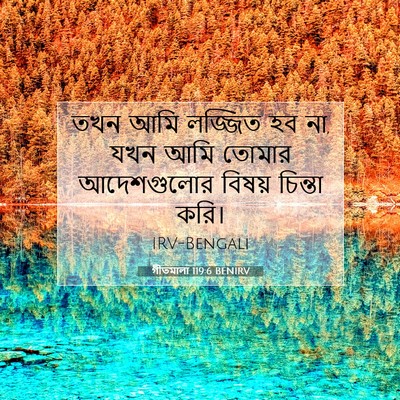 Picture 07 - গীতমালা 119:6 BENIRV - তখন আমি লজ্জিত হব - Bible Verse Picture
