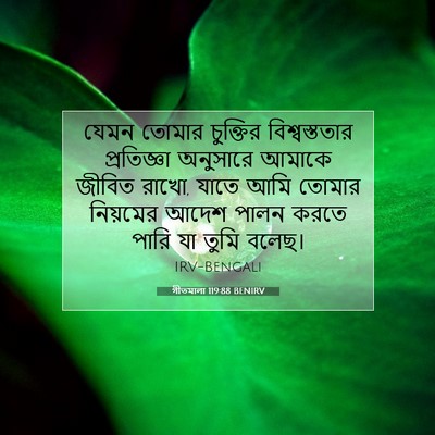 Picture 07 - গীতমালা 119:88 BENIRV - যেমন তোমার - Bible Verse Picture
