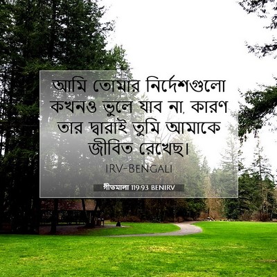Picture 07 - গীতমালা 119:93 BENIRV - আমি তোমার - Bible Verse Picture