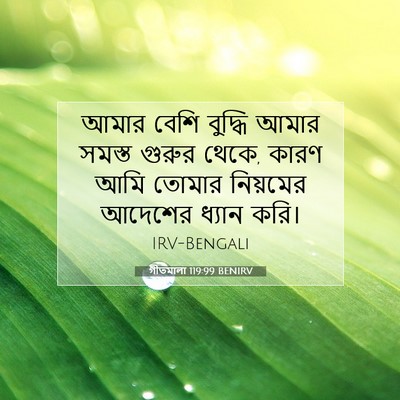 Picture 07 - গীতমালা 119:99 BENIRV - আমার বেশি বুদ্ধি - Bible Verse Picture
