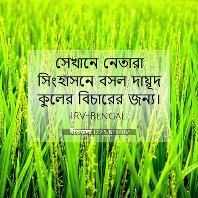 Picture 07 - গীতমালা 122:5 BENIRV - সেখানে নেতারা - Bible Verse Picture