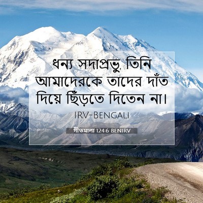 Picture 07 - গীতমালা 124:6 BENIRV - ধন্য সদাপ্রভুু, - Bible Verse Picture