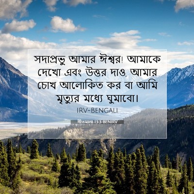 Picture 07 - গীতমালা 13:3 BENIRV - সদাপ্রভুু আমার - Bible Verse Picture