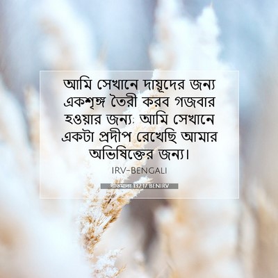 Picture 07 - গীতমালা 132:17 BENIRV - আমি সেখানে - Bible Verse Picture