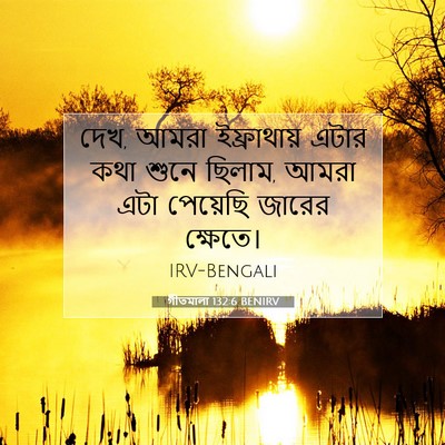 Picture 07 - গীতমালা 132:6 BENIRV - দেখ, আমরা - Bible Verse Picture