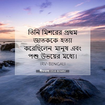Picture 07 - গীতমালা 135:8 BENIRV - তিনি মিশরের প্রথম - Bible Verse Picture