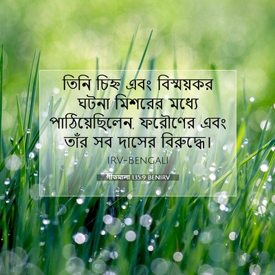 Picture 07 - গীতমালা 135:9 BENIRV - তিনি চিহ্ন এবং - Bible Verse Picture
