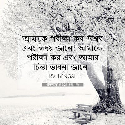 Picture 07 - গীতমালা 139:23 BENIRV - আমাকে পরীক্ষা কর, - Bible Verse Picture