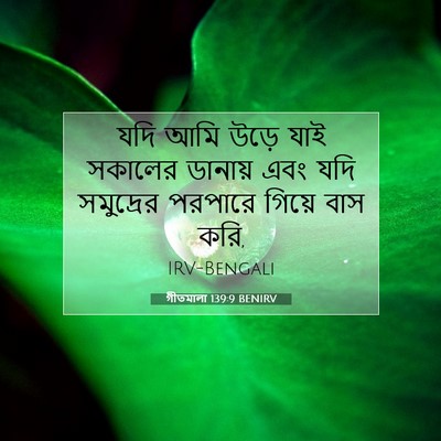 Picture 07 - গীতমালা 139:9 BENIRV - যদি আমি উড়ে যাই - Bible Verse Picture