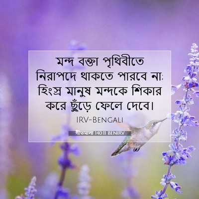 Picture 07 - গীতমালা 140:11 BENIRV - মন্দ বক্তা - Bible Verse Picture