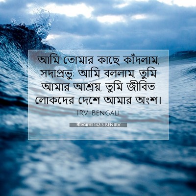 Picture 07 - গীতমালা 142:5 BENIRV - আমি তোমার কাছে - Bible Verse Picture