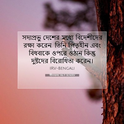 Picture 07 - গীতমালা 146:9 BENIRV - সদাপ্রভুু দেশের - Bible Verse Picture