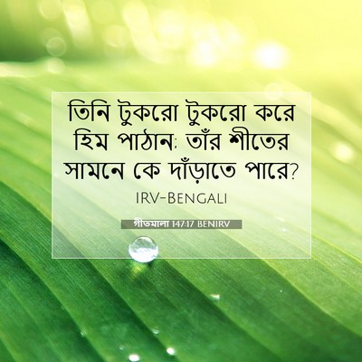 Picture 07 - গীতমালা 147:17 BENIRV - তিনি টুকরো টুকরো - Bible Verse Picture